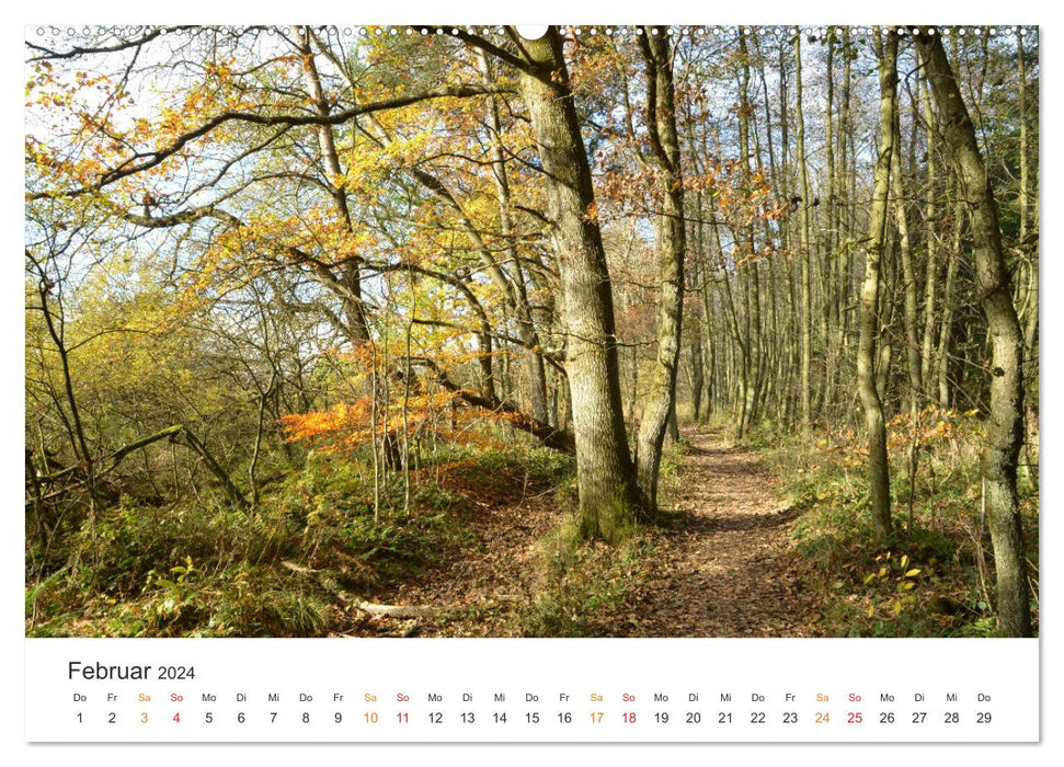 Forest makes you happy (CALVENDO wall calendar 2024) 