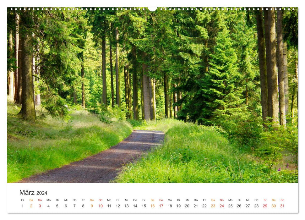 Wald macht glücklich (CALVENDO Wandkalender 2024)