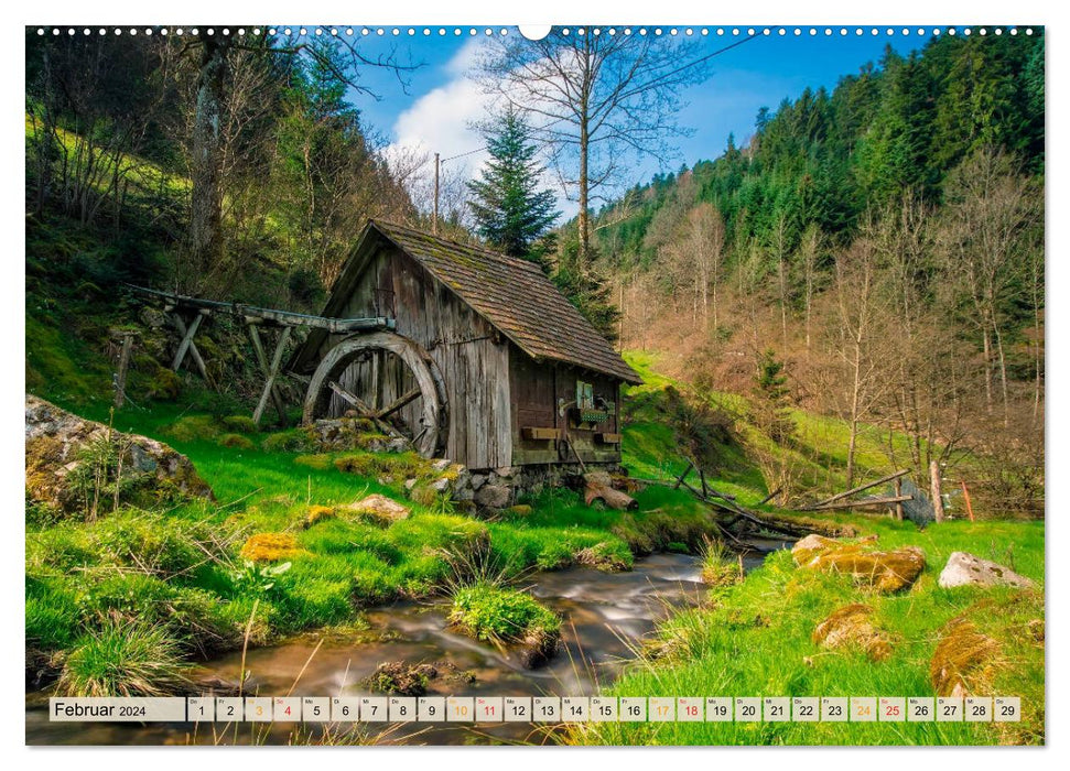Deutschland - Nationalparks (CALVENDO Premium Wandkalender 2024)