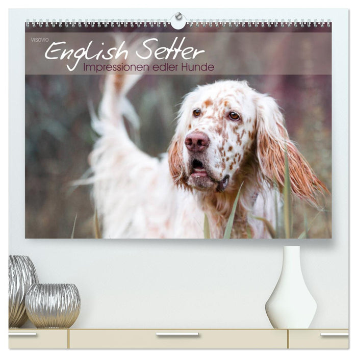 English Setter – Impressions of noble dogs (CALVENDO Premium Wall Calendar 2024) 
