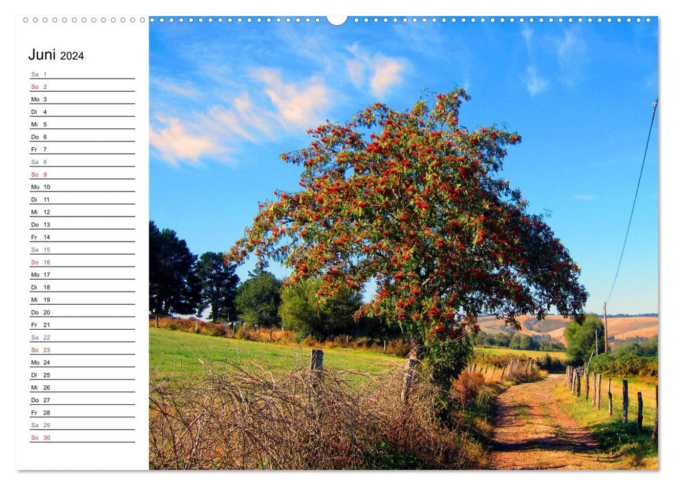 Way of St. James - Camino Primitivo (CALVENDO Premium Wall Calendar 2024) 