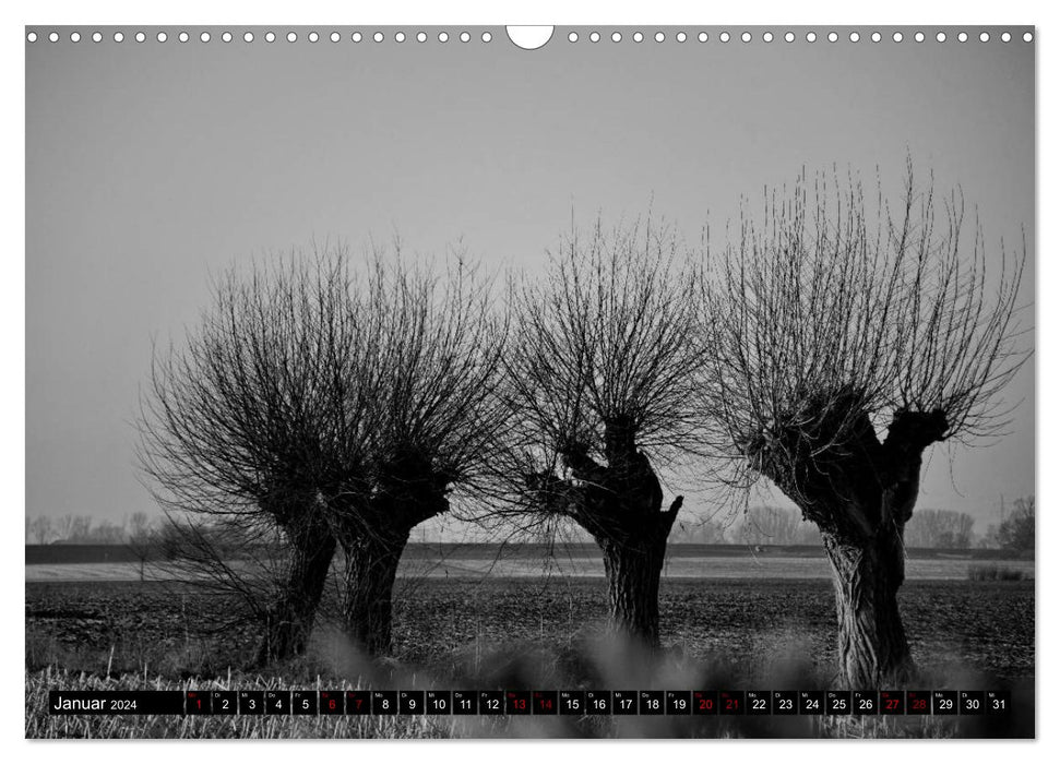 Monochrome Lower Rhine (CALVENDO wall calendar 2024) 