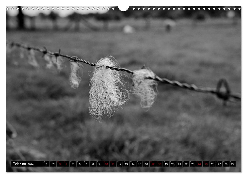 Monochrome Lower Rhine (CALVENDO wall calendar 2024) 