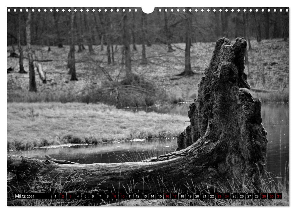 Monochromer Niederrhein (CALVENDO Wandkalender 2024)