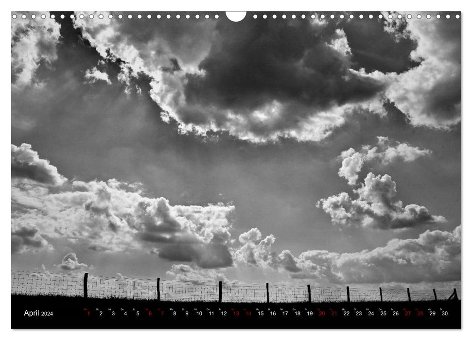 Monochrome Lower Rhine (CALVENDO wall calendar 2024) 