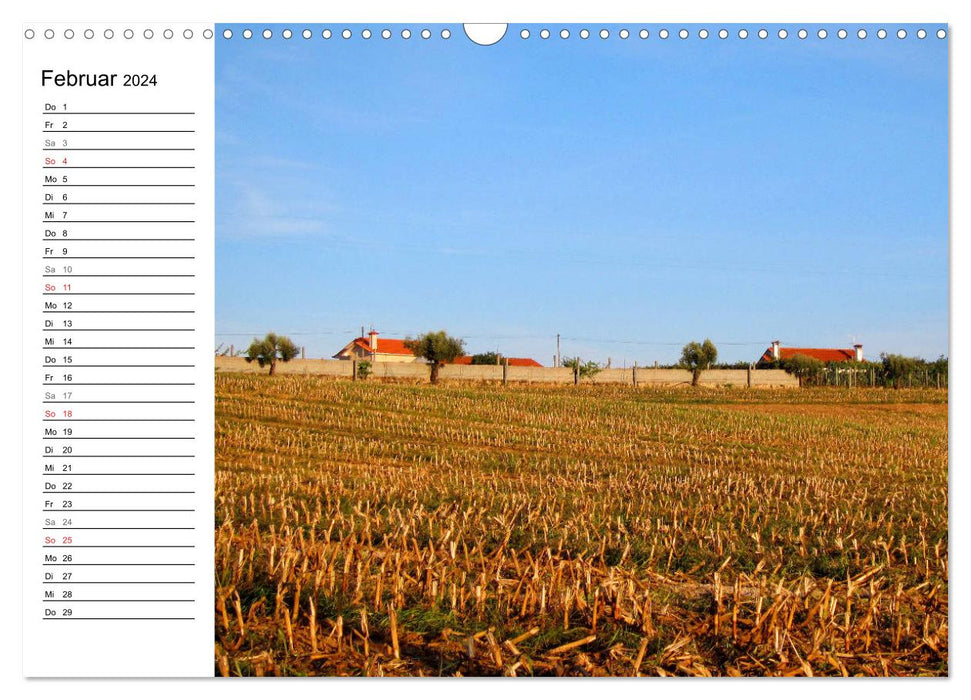 Jakobsweg - Camino Portugues Central (CALVENDO Wandkalender 2024)