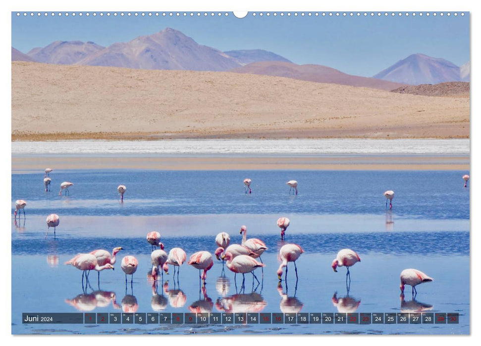 Peru Bolivien Chile (CALVENDO Wandkalender 2024)