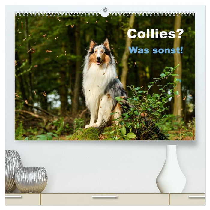 Collies? What else! (CALVENDO Premium Wall Calendar 2024) 