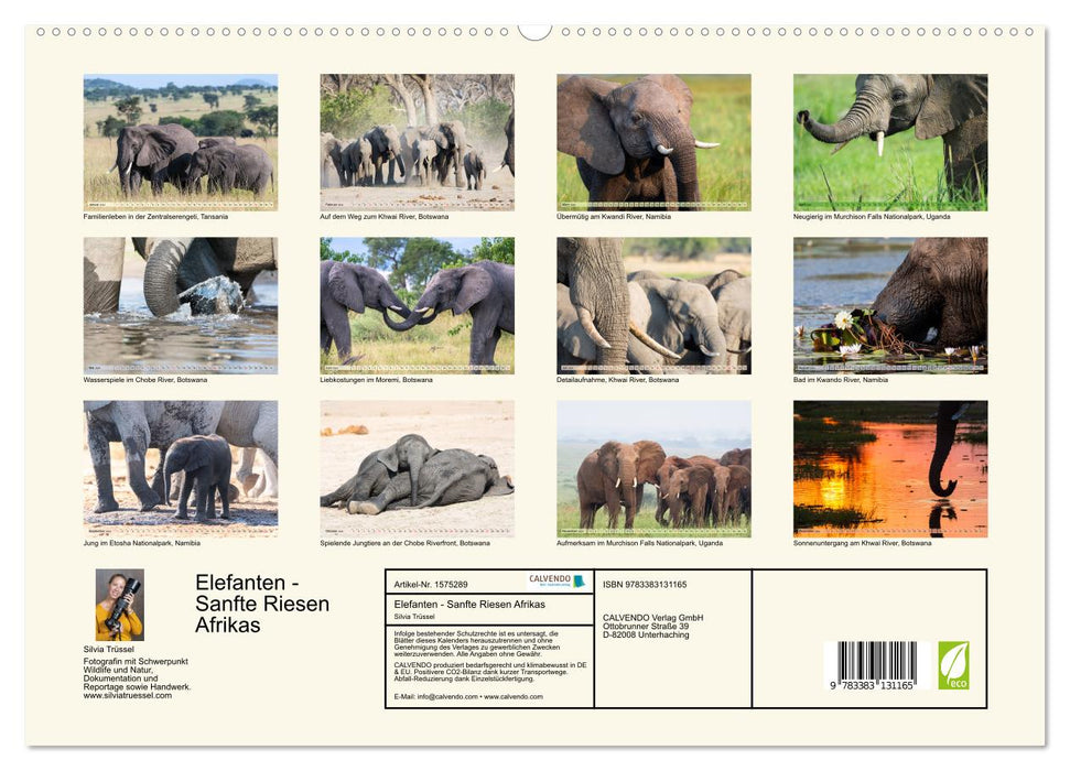 Elephants - Gentle Giants of Africa (CALVENDO Premium Wall Calendar 2024) 