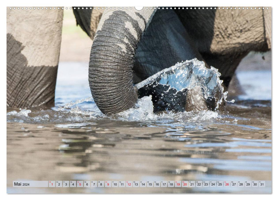 Elephants - Gentle Giants of Africa (CALVENDO Premium Wall Calendar 2024) 