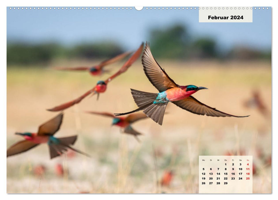 Magical Namibia - animals and landscapes (CALVENDO Premium Wall Calendar 2024) 