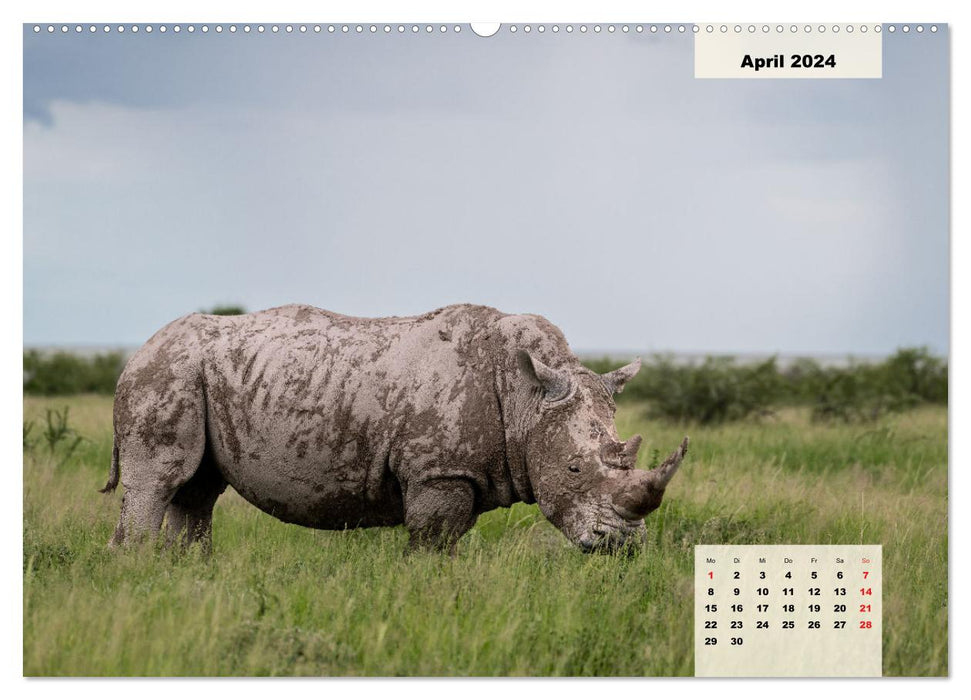 Magical Namibia - animals and landscapes (CALVENDO Premium Wall Calendar 2024) 