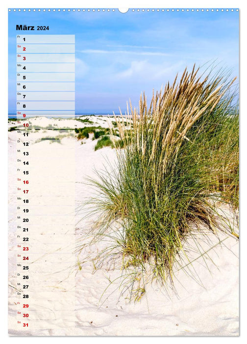 At the Sea Birthday Planner (CALVENDO Premium Wall Calendar 2024) 