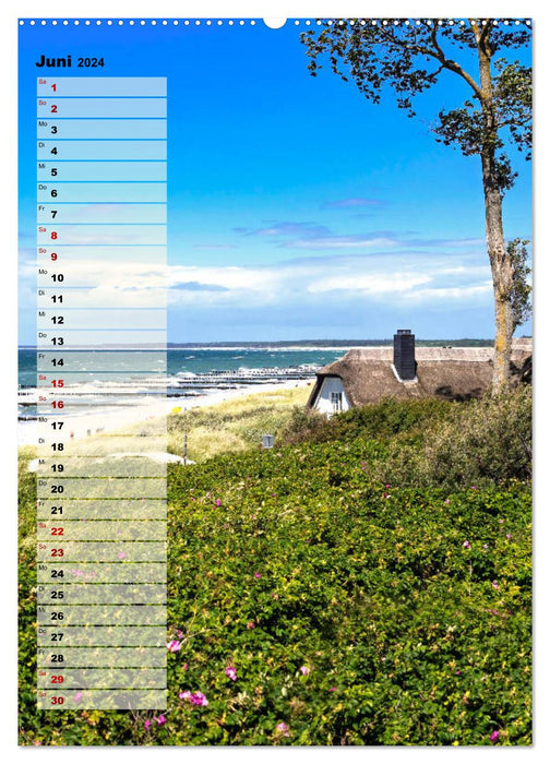 At the Sea Birthday Planner (CALVENDO Premium Wall Calendar 2024) 