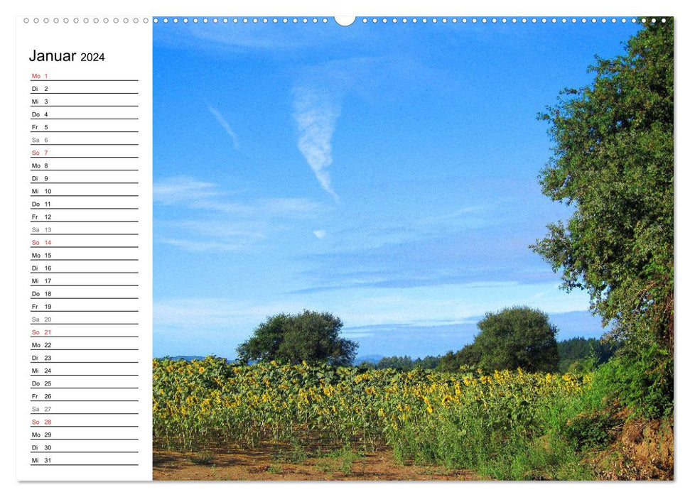 Way of St. James - Camino Primitivo (CALVENDO wall calendar 2024) 