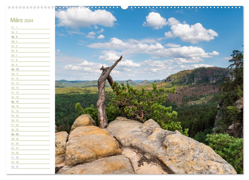 Affensteine ​​Perspectives - Elbe Sandstone (CALVENDO Wall Calendar 2024) 