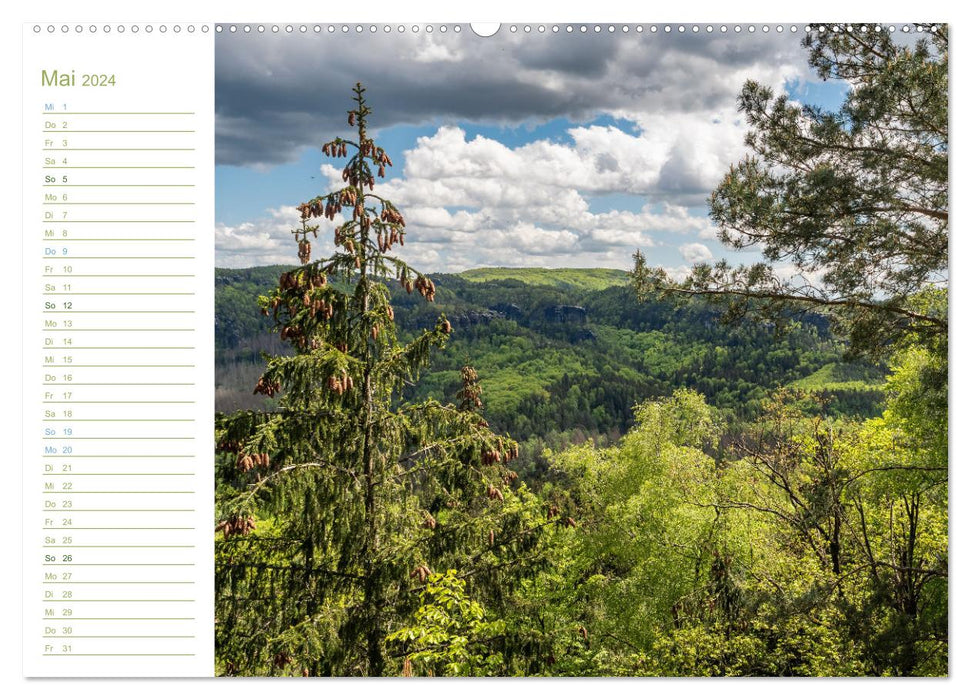 Affensteine ​​Perspectives - Elbe Sandstone (CALVENDO Wall Calendar 2024) 