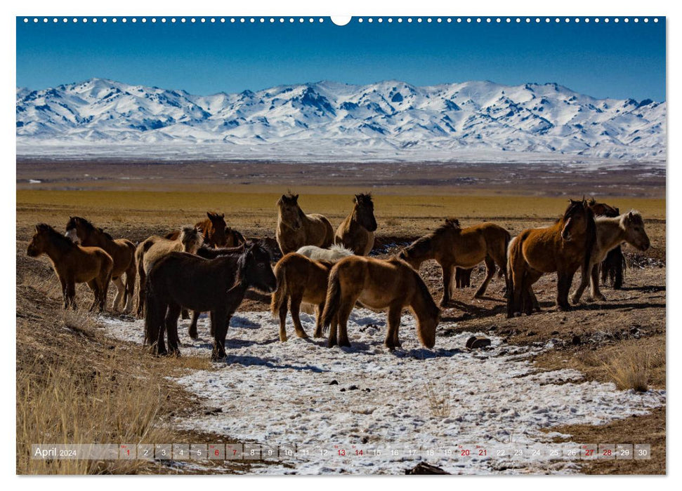 Mongolie - pays impressionnant (Calendrier mural CALVENDO Premium 2024) 