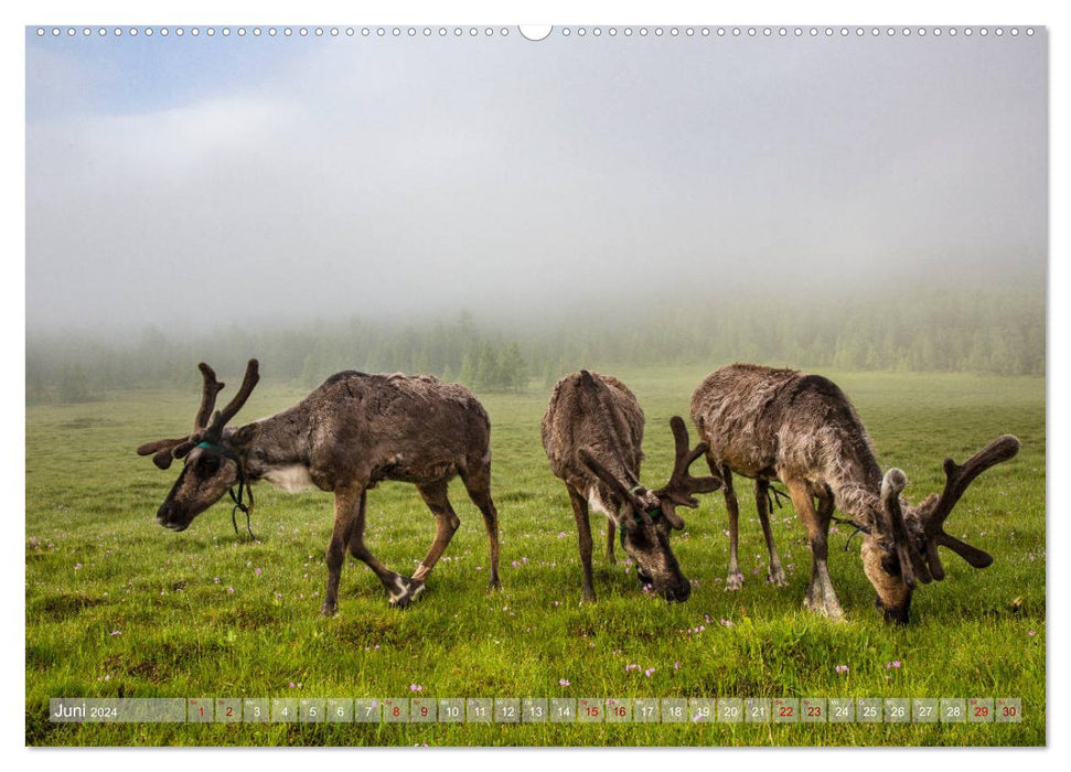 Mongolie - pays impressionnant (Calendrier mural CALVENDO Premium 2024) 