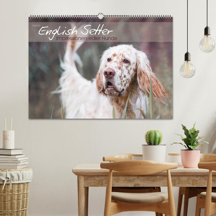 English Setter – Impressionen edler Hunde (CALVENDO Wandkalender 2024)