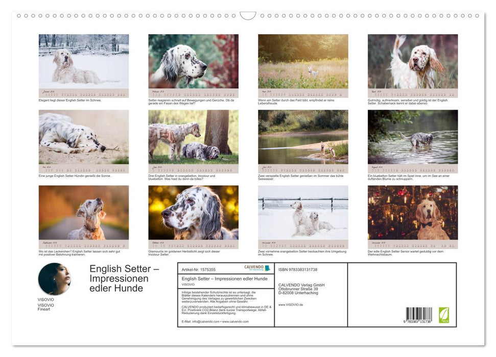 English Setter – Impressionen edler Hunde (CALVENDO Wandkalender 2024)