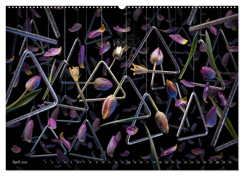 Flora diabola - Die wundersame Welt des Fotodesigners Olaf Bruhn (CALVENDO Premium Wandkalender 2024)