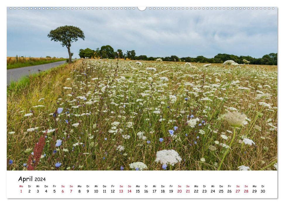 Bornholm 2024 A Year in Summer (CALVENDO Premium Wall Calendar 2024) 