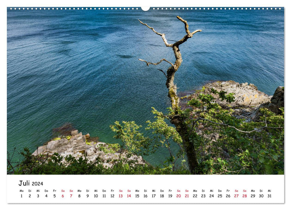 Bornholm 2024 A Year in Summer (CALVENDO Premium Wall Calendar 2024) 