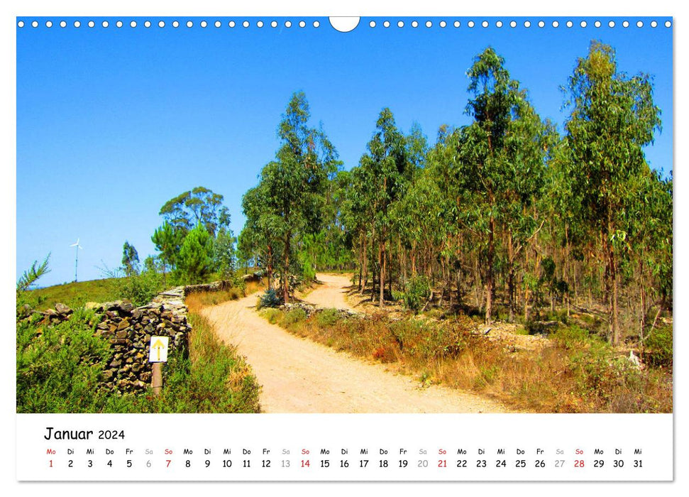 Way of St. James - Camino Portugues Central (CALVENDO wall calendar 2024) 