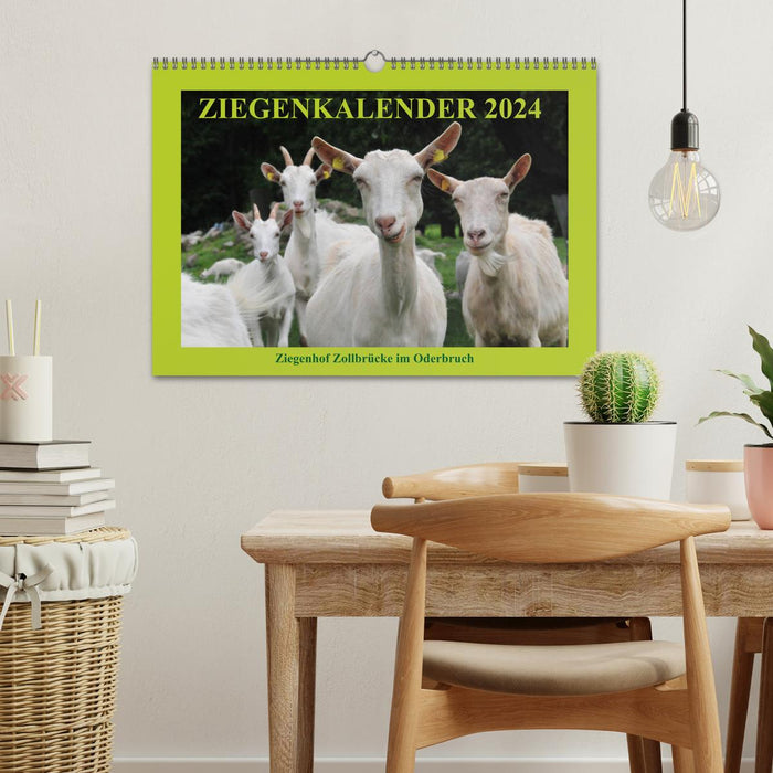 Goat calendar 2024 (CALVENDO wall calendar 2024) 