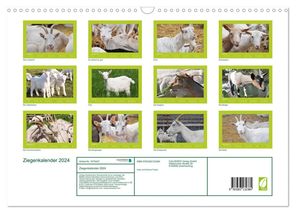 Goat calendar 2024 (CALVENDO wall calendar 2024) 