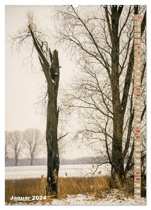 Der Meerbusch - Meerbuscher Rheinspaziergang (CALVENDO Premium Wandkalender 2024)