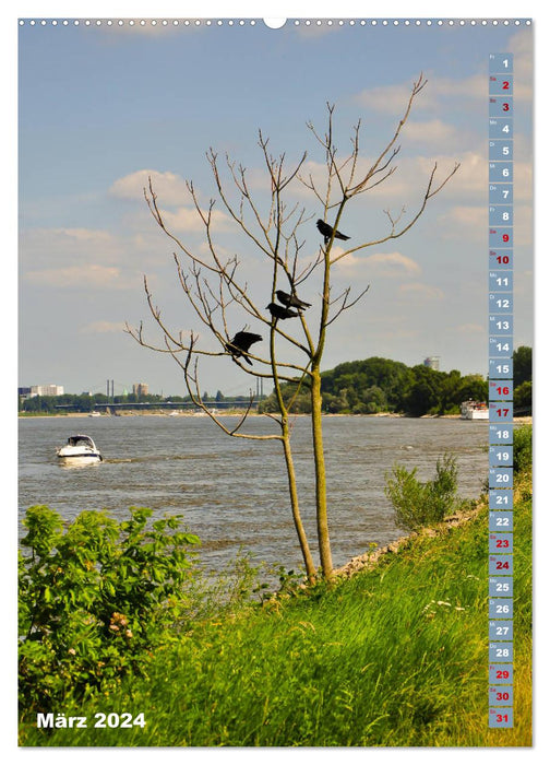 The Meerbusch - Meerbusch Rhine Walk (CALVENDO Premium Wall Calendar 2024) 