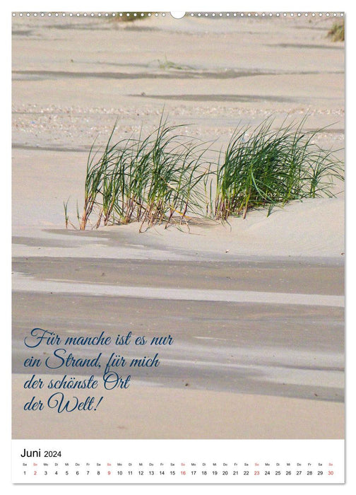 Multifaceted Borkum (CALVENDO wall calendar 2024) 