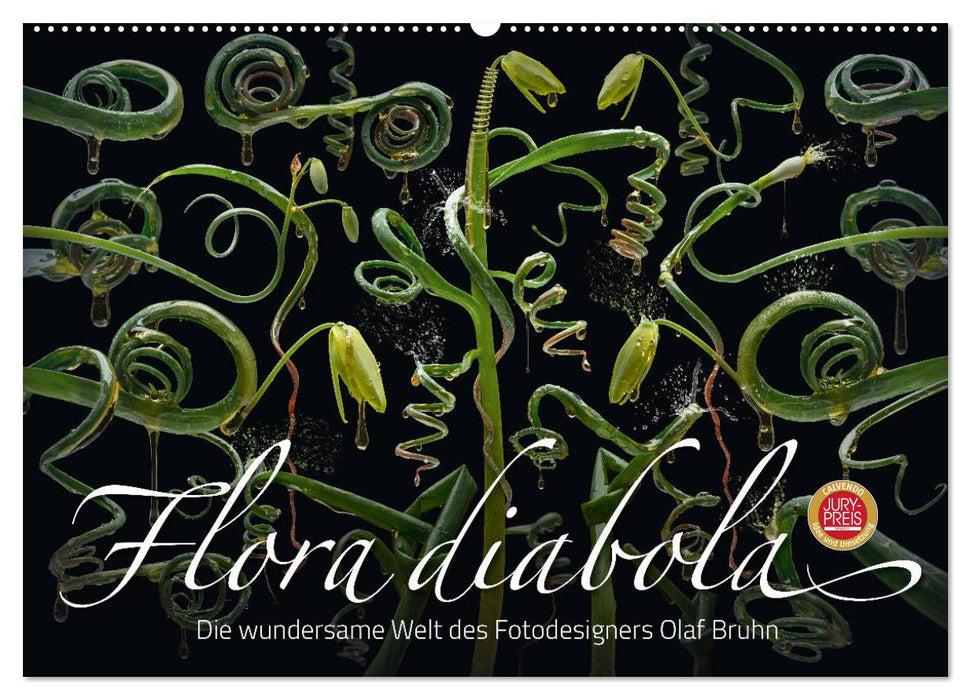 Flora diabola - The wondrous world of photo designer Olaf Bruhn (CALVENDO wall calendar 2024) 