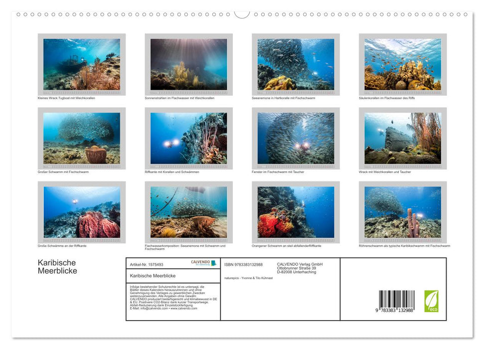 Caribbean Sea Views (CALVENDO Premium Wall Calendar 2024) 