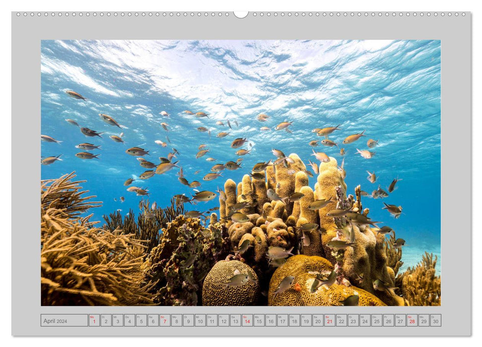 Caribbean Sea Views (CALVENDO Premium Wall Calendar 2024) 