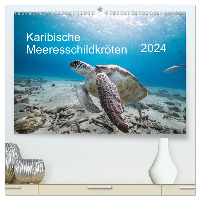 Karibische Meeresschildkröten (CALVENDO Premium Wandkalender 2024)