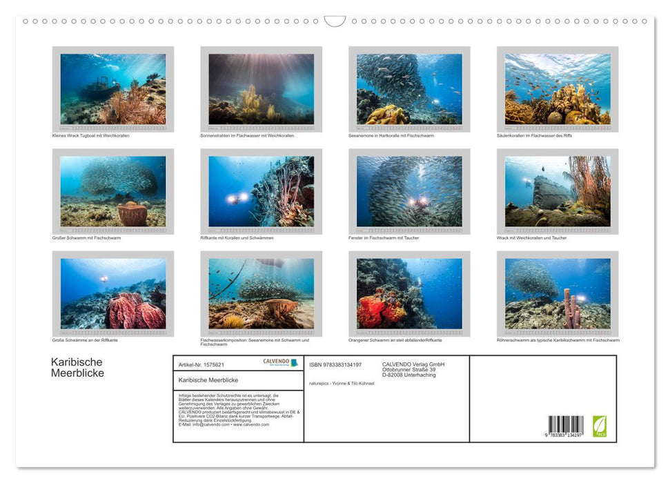 Caribbean Sea Views (CALVENDO Wall Calendar 2024) 