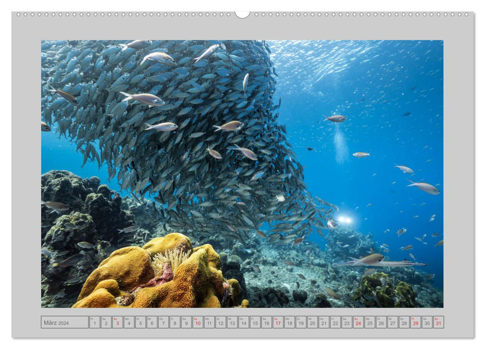 Karibische Meerblicke (CALVENDO Wandkalender 2024)