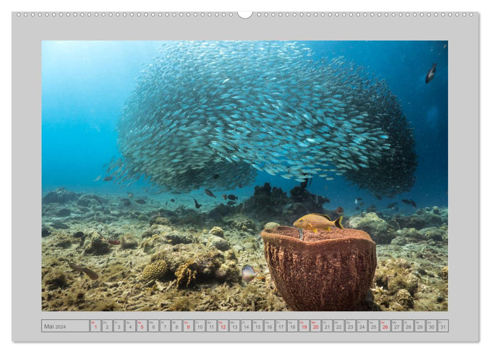 Caribbean Sea Views (CALVENDO Wall Calendar 2024) 