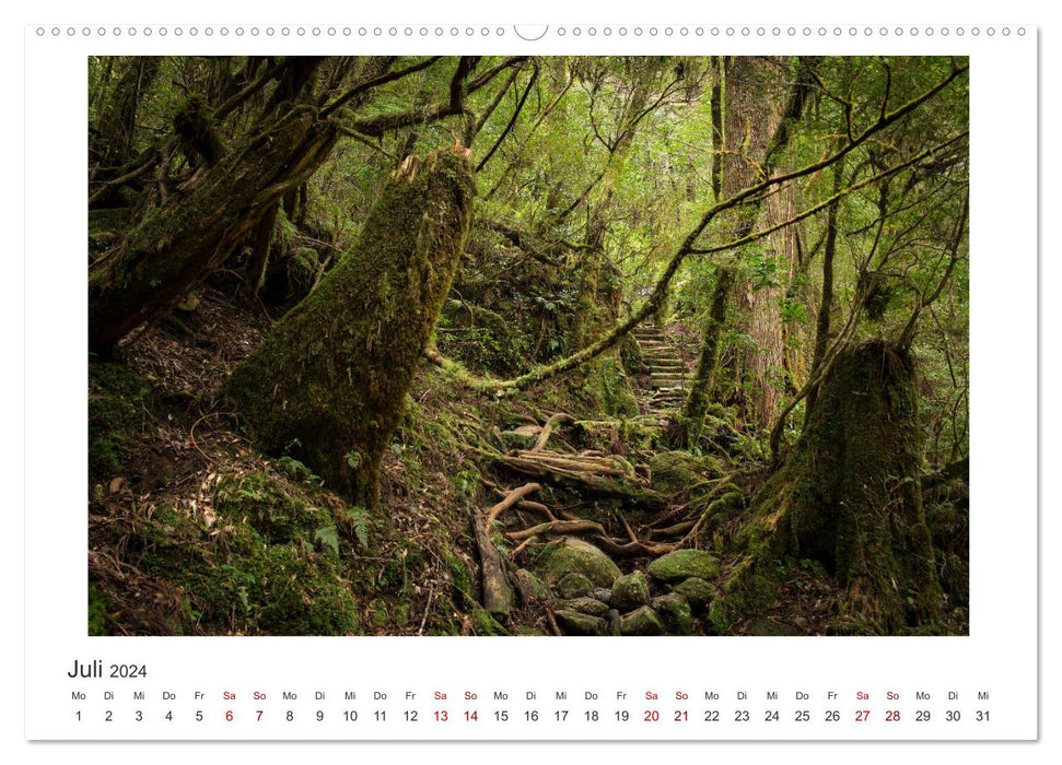 Yakushima - Patrimoine naturel mondial du Japon (Calvendo Premium Wall Calendar 2024) 