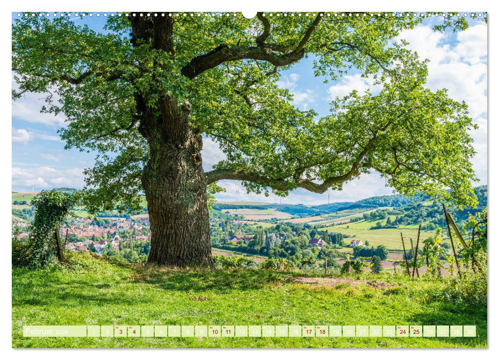 Mystical Disibodenberg (CALVENDO Premium Wall Calendar 2024) 