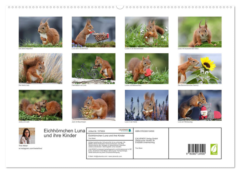 Luna the squirrel and her children (CALVENDO Premium Wall Calendar 2024) 