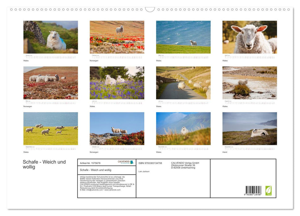 Sheep - Soft and woolly (CALVENDO wall calendar 2024) 