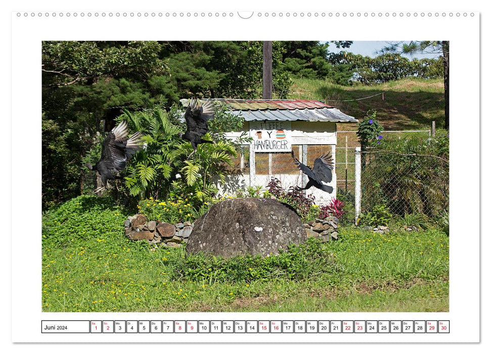 Panama - Fascinating cultural landscapes (CALVENDO wall calendar 2024) 