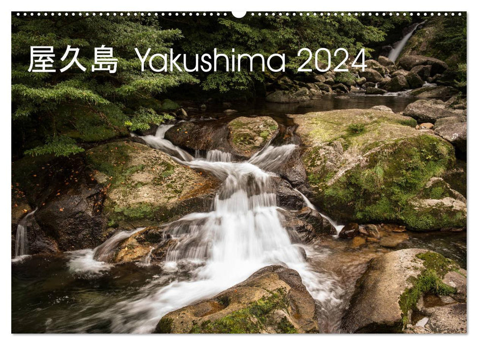Yakushima - Patrimoine naturel mondial du Japon (Calendrier mural CALVENDO 2024) 