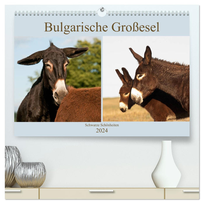 Bulgarische Großesel - Schwarze Schönheiten (CALVENDO Premium Wandkalender 2024)