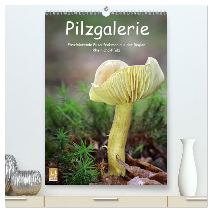 Galerie de champignons - De fascinantes photos de champignons de la région de Rhénanie-Palatinat (Calendrier mural CALVENDO Premium 2024) 