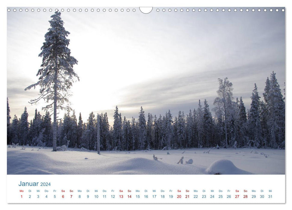 Nordic sceneries (CALVENDO wall calendar 2024) 
